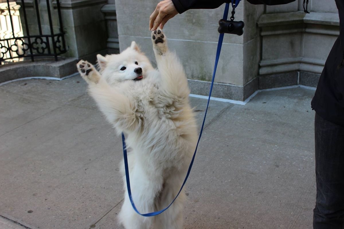 dance homunculus , for if you stop , you will get the acid bath