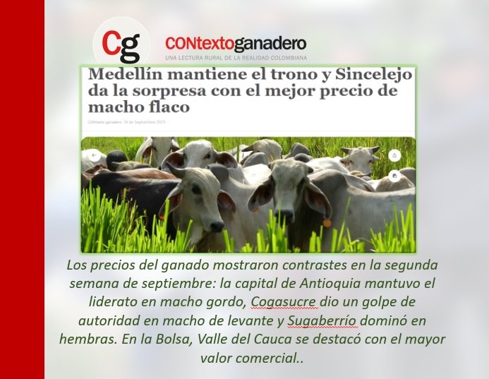 A continuación, CONtexto ganadero presenta las principales novedades del precio del ganado en subastas de la semana del 6 al 12 de septiembre 
#orgullosamenteganaderos #construyendoganaderia 
@jf_lafaurie @fedegan_col