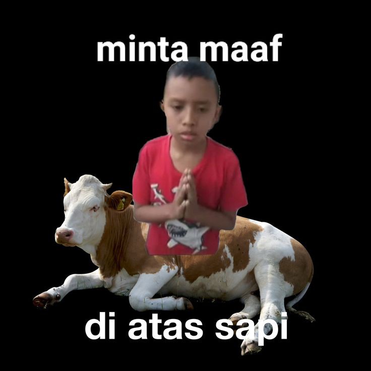 MOoooooOooo