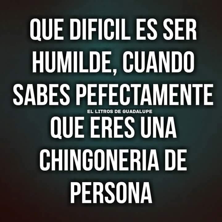 El Oscar 〰️ tweet media