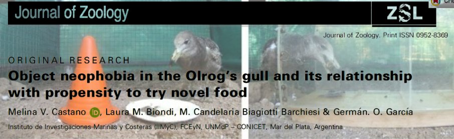 En otro estudio se abordó cuestiones comportamentales en la Gaviota Cangrejera, principalmente las respuestas neofóbicas y la propensión a probar comida novedosa . 🐟🐦

<a href="/melicast93/">Melina Castano</a> #LauraBiondi #CandelariaBiagiottiBarchiesi <a href="/Gerenchapa/">Germán García</a> <a href="/IIMyCAr/">IIMyC-UNMdP-CONICET</a> 

…lpublications.onlinelibrary.wiley.com/journal/146979…
3/3