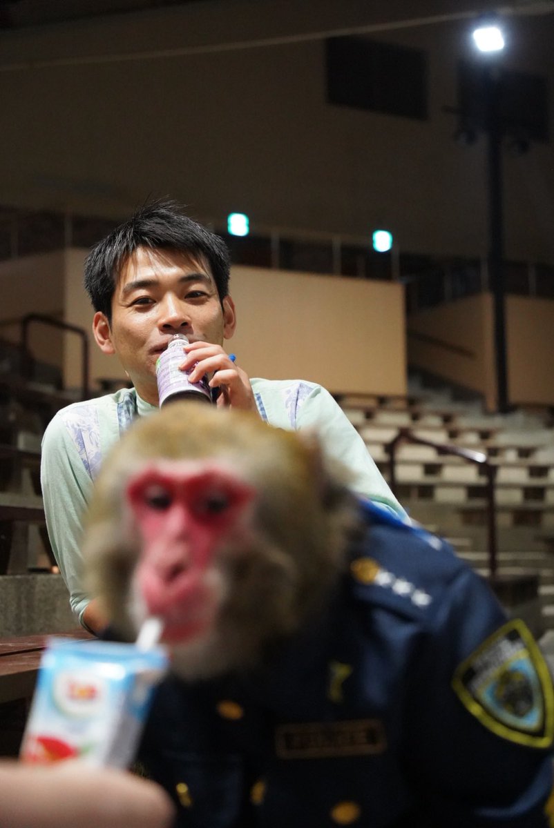 カイくん - Search / X