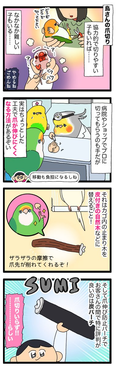 炭で出来たパーチ、鳥さんの爪が伸びにくくて良い商品なんだけどお羽が真っ黒になってなんだかおもしろい🙂↕️
2176 #えるポピの絵日記かくところ