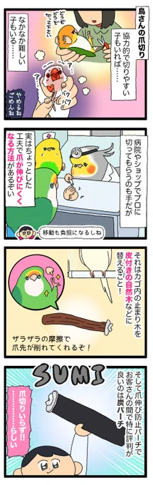 炭で出来たパーチ、鳥さんの爪が伸びにくくて良い商品なんだけどお羽が真っ黒になってなんだかおもしろい🙂‍↕️

2176 #えるポピの絵日記かくところ 