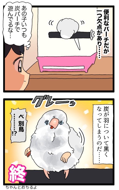 炭で出来たパーチ、鳥さんの爪が伸びにくくて良い商品なんだけどお羽が真っ黒になってなんだかおもしろい🙂↕️
2176 #えるポピの絵日記かくところ