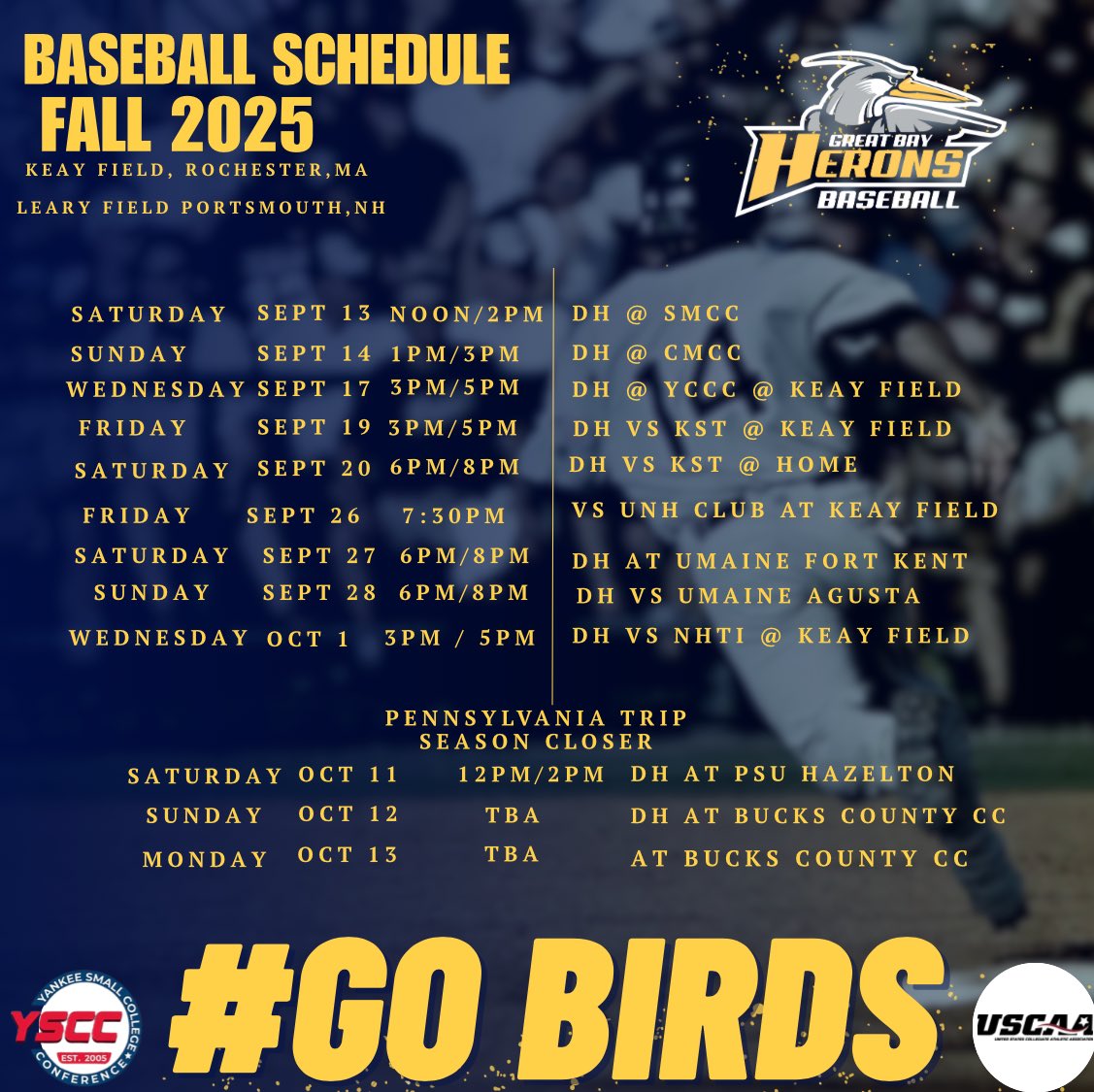 Great Bay CC Baseball (@gbcc_baseball) on Twitter photo 