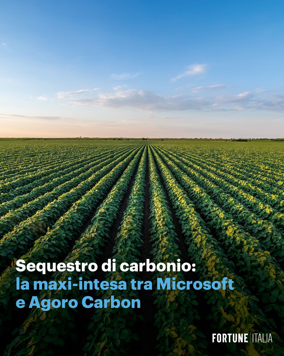 Fortune Italia tweet media