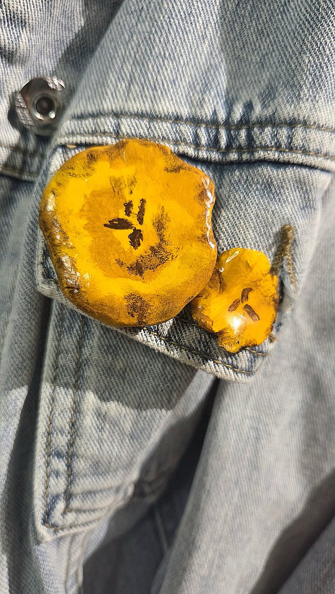 Coqui🐸 tweet media