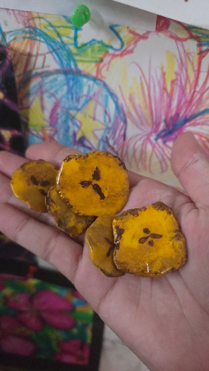 Coqui🐸 tweet media