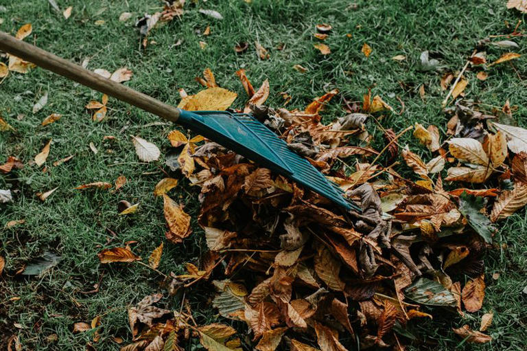 MajorRec1's tweet image. Where's the cat? Time for a little fun, take your mind off things for 2 minutes! Can you find the cat in this picture.
Some of us found it instantly, others are still struggling. So here's us spoiling your afternoon 😸

#findthecat #cat #catsoffacebook #howgoodareyoureyes