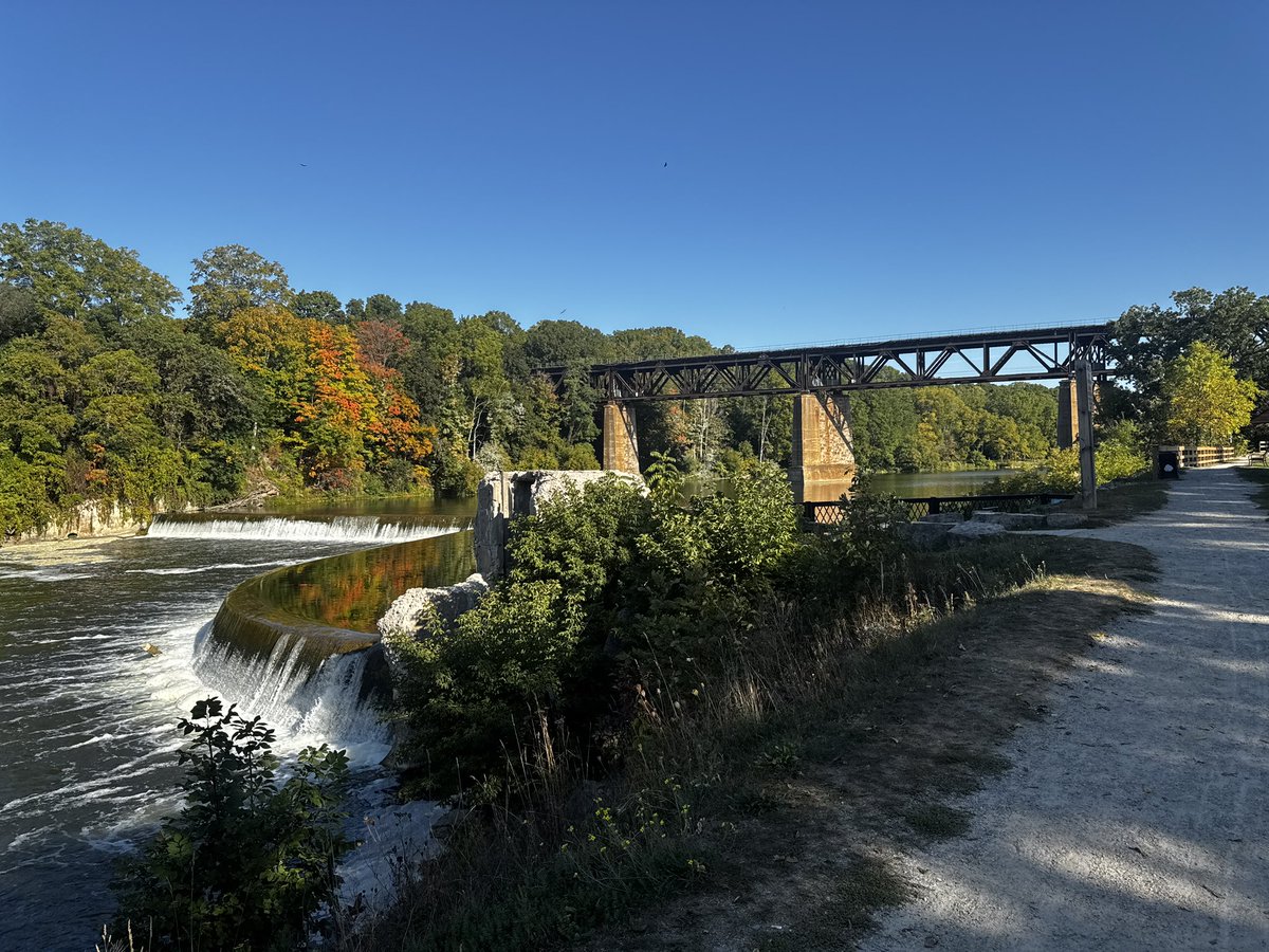 Nature Pokewalks and Shiny Hunting. Best kind of day 😃