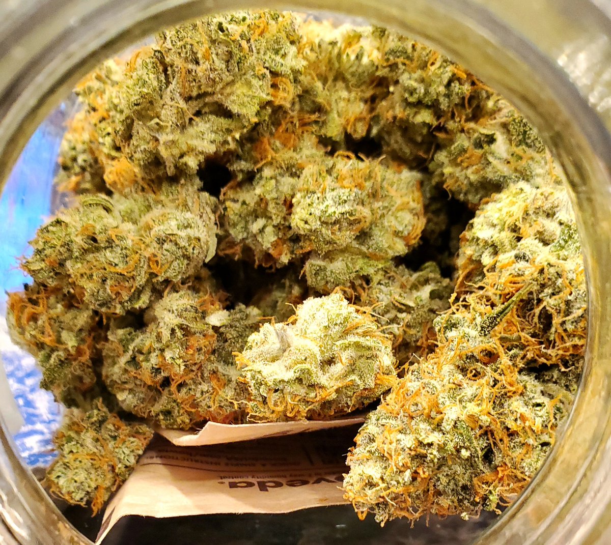 medicalgrower42's tweet image. My weed so loud that I&apos;m smoking in surround sound. 😎