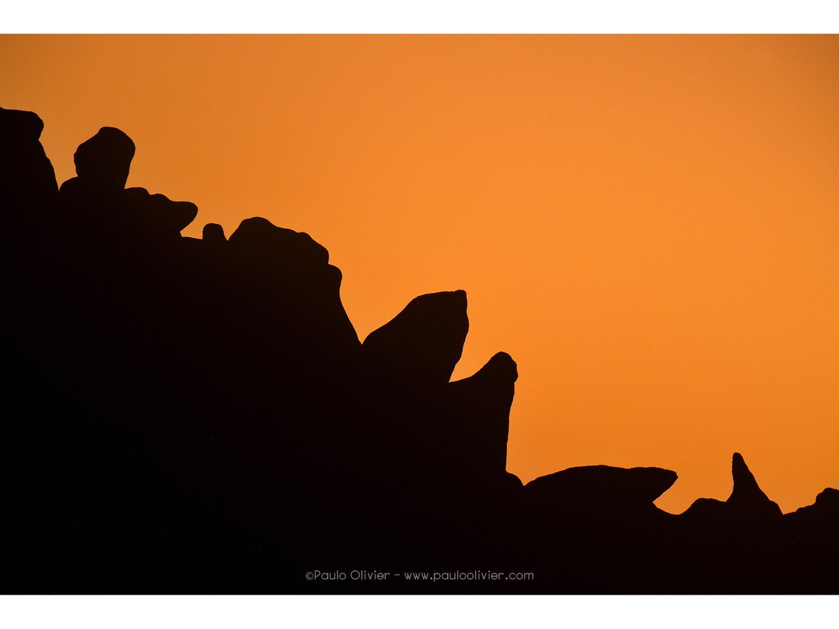 Hasta las cosas más simples lucen extraordinarias si sabemos fotografiarlas bajo las condiciones de luz adecuadas.