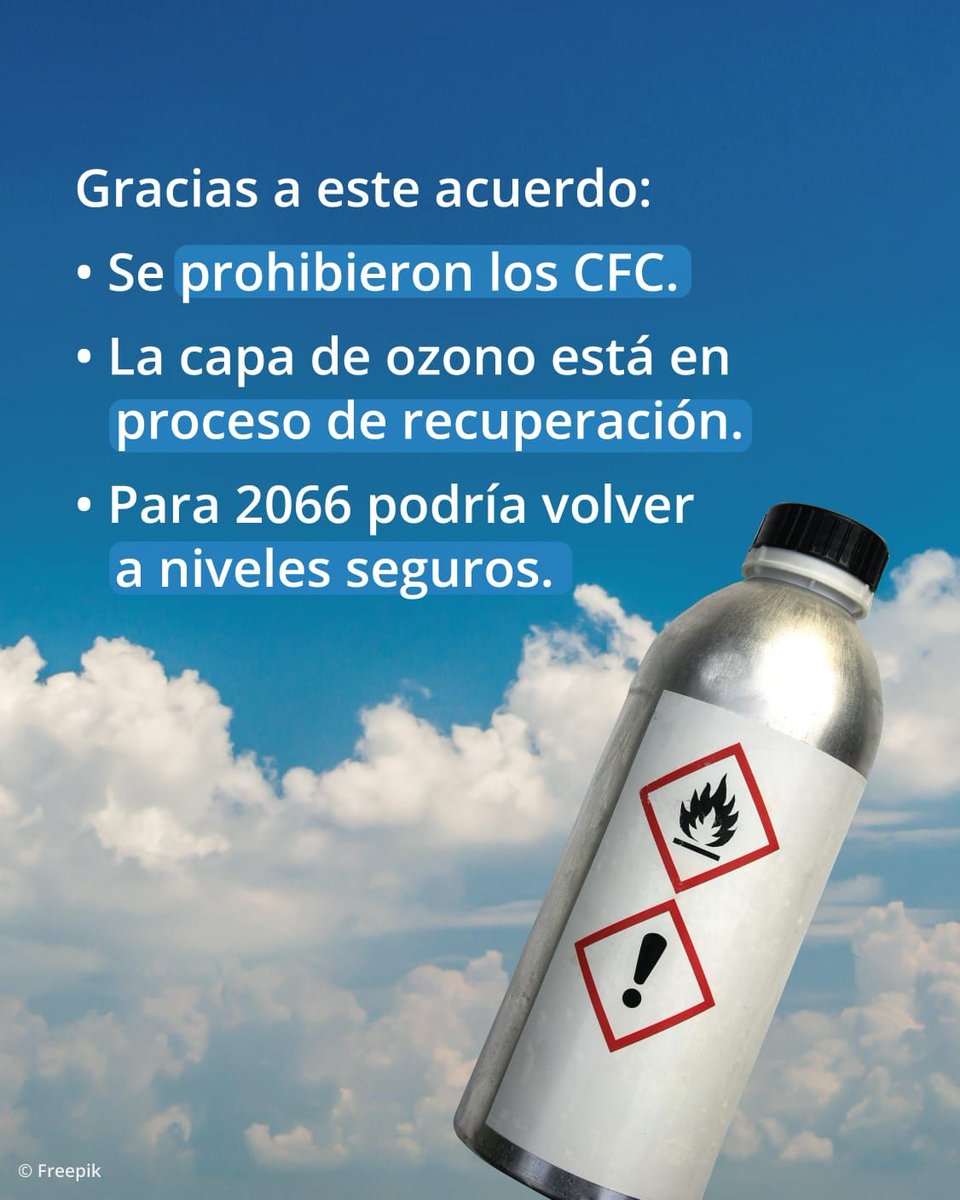 WWF_LAC's tweet photo. Hoy, gracias a este acuerdo global:

✅ Se prohibieron los CFC.
✅ La capa de ozono se está recuperando.
✅ Para 2066 podría volver a niveles seguros.

#CapaDeOzono #ProtocoloDeMontreal #Conservación https://t.co/9NRbpaMTO8