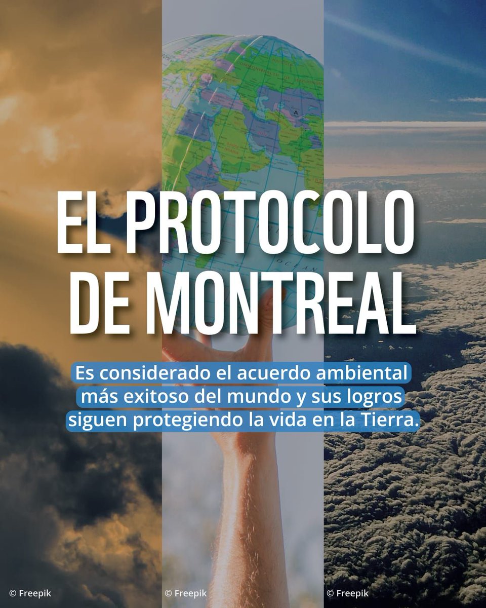 WWF_LAC's tweet photo. Hoy, gracias a este acuerdo global:

✅ Se prohibieron los CFC.
✅ La capa de ozono se está recuperando.
✅ Para 2066 podría volver a niveles seguros.

#CapaDeOzono #ProtocoloDeMontreal #Conservación https://t.co/9NRbpaMTO8