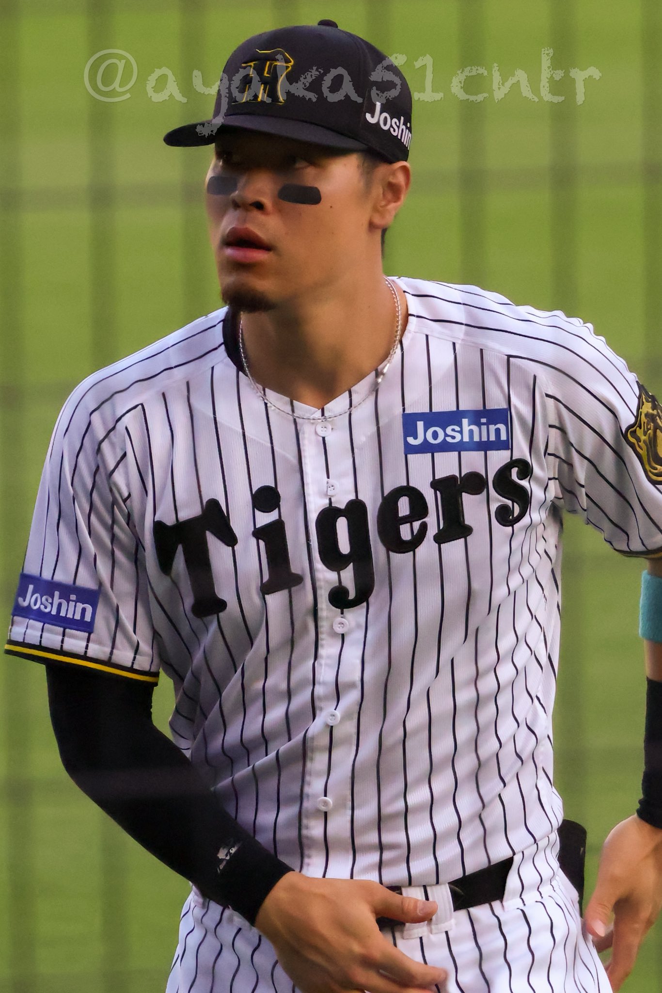 chikamadonnaさま専用佐藤勝彦曽乃磨磨目出多也安利賀太也」墨彩画８号 あやか🐯と🐮の狭間 on X: 