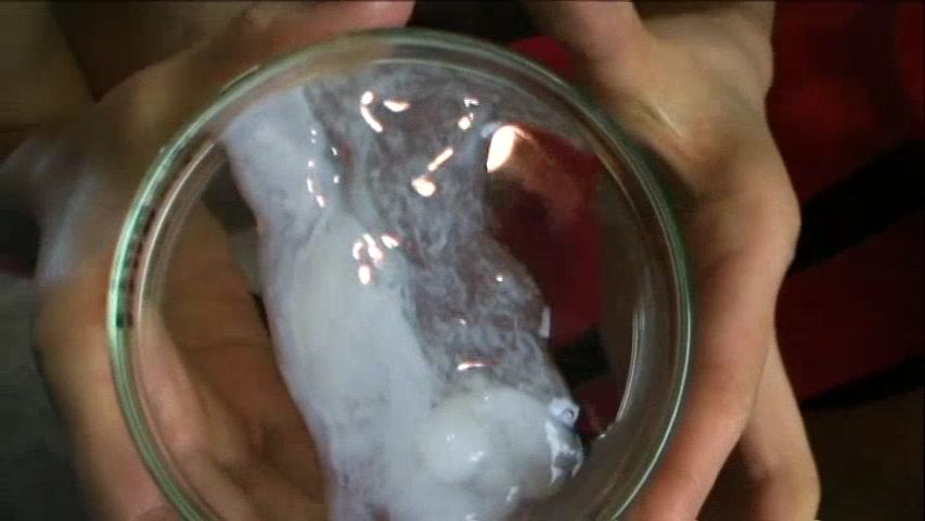 精液成瘾🙄 tweet media