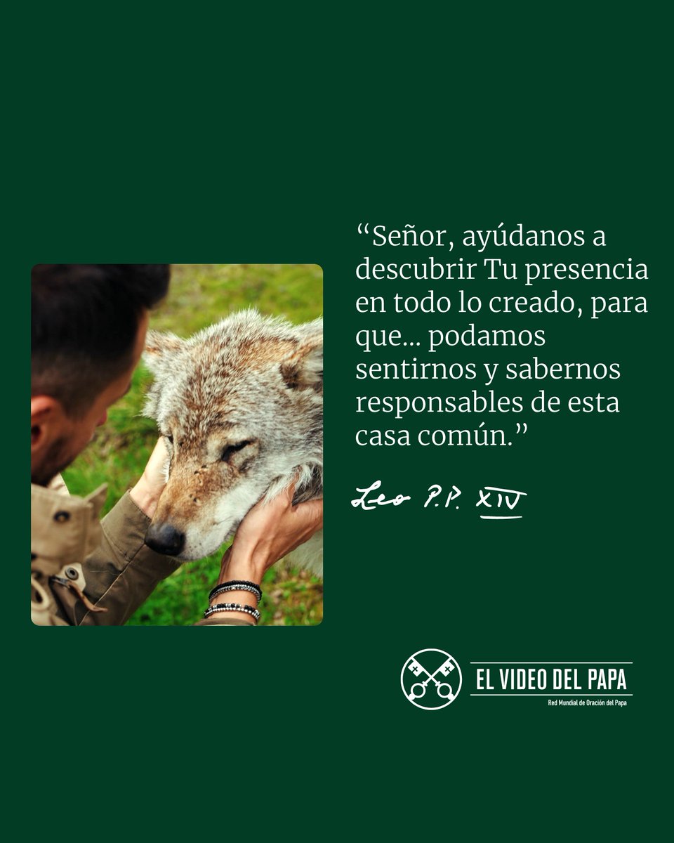 #OremosJuntos en Click To Pray por la intención de oración del Papa. 

🙏Reza cada día en: clicktopray.org 

#CasaComun #SanFranciscoAsis #LaudatoSi #TiempodelaCreación
#ElVideoDelPapa 
#ClickToPray 
#OremosJuntos
@pontifex_es
<a href="/popesprayer_es/">Red Mundial de Oración del Papa - Oficina Vaticana</a>