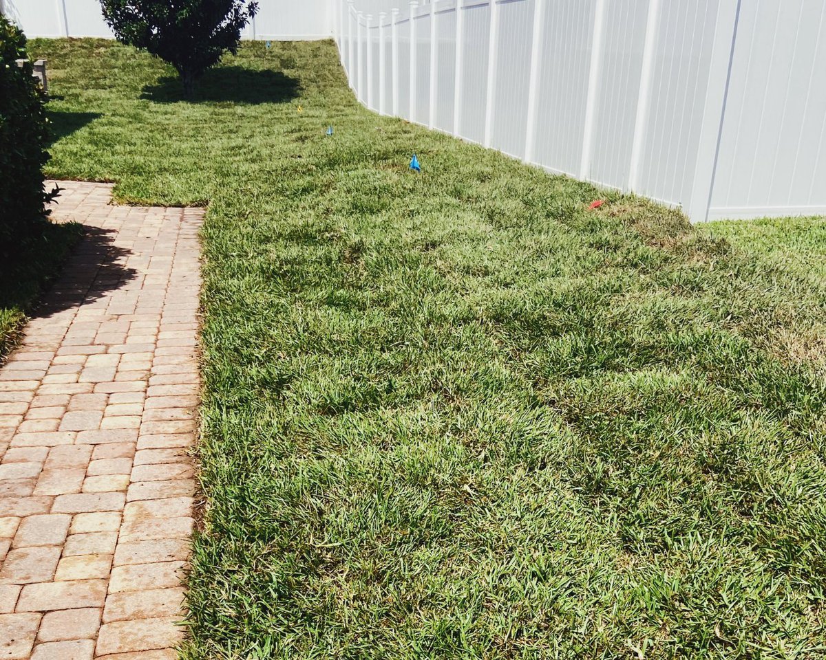 SodSolutions's tweet photo. This installation by Sunshine Garden Creations has transformed a home in Clermont, FL, with #CobaltStAugustine from Smokey Valley Stone Company. This lawn transformation shows just why Sunshine Garden Creations are #TitansofTurf. https://t.co/JJEbTtpsme