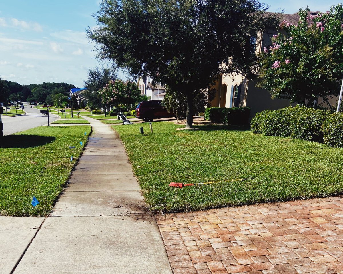 SodSolutions's tweet photo. This installation by Sunshine Garden Creations has transformed a home in Clermont, FL, with #CobaltStAugustine from Smokey Valley Stone Company. This lawn transformation shows just why Sunshine Garden Creations are #TitansofTurf. https://t.co/JJEbTtpsme