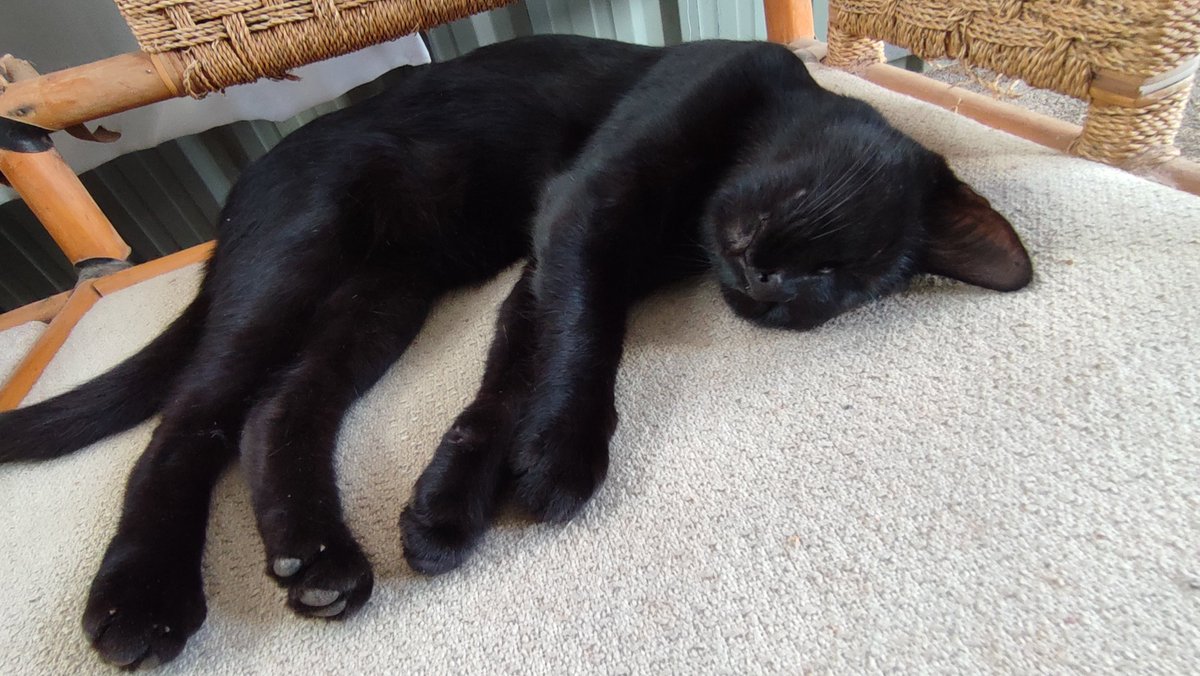 Anand Madhvani tweet media