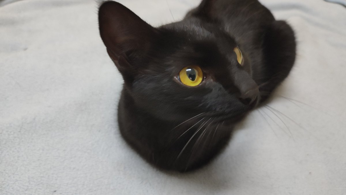 Anand Madhvani tweet media