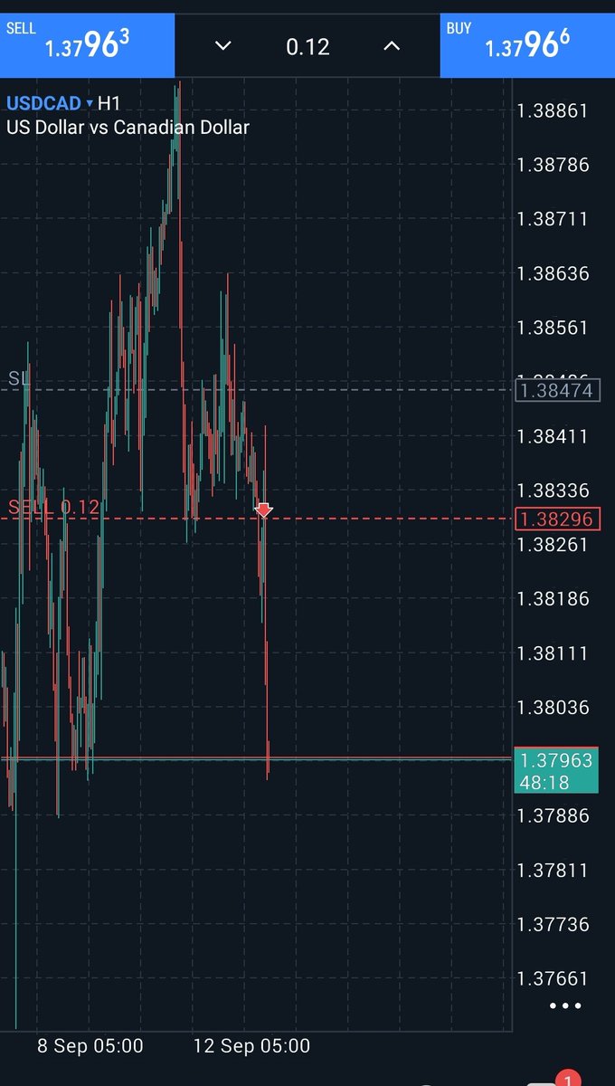 BigZig Trade 📈📉 tweet media