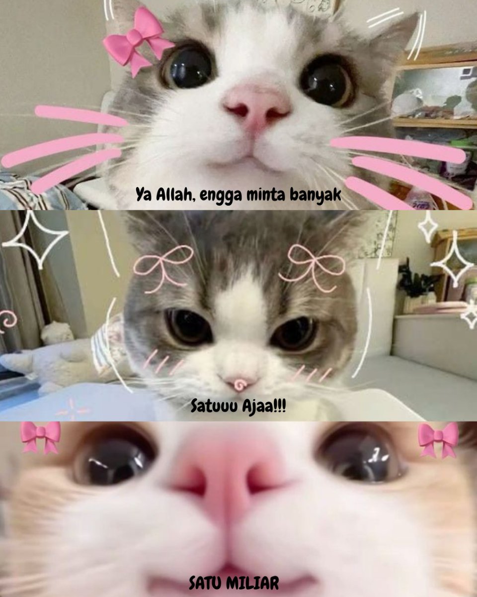 DealiyahK's tweet image. Ketika doamu sedikit maksa 😅

#zonauang #Kucing #quoteofday