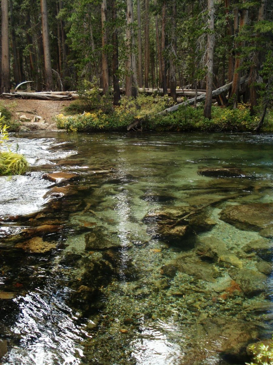 lacrymarias's tweet image. 