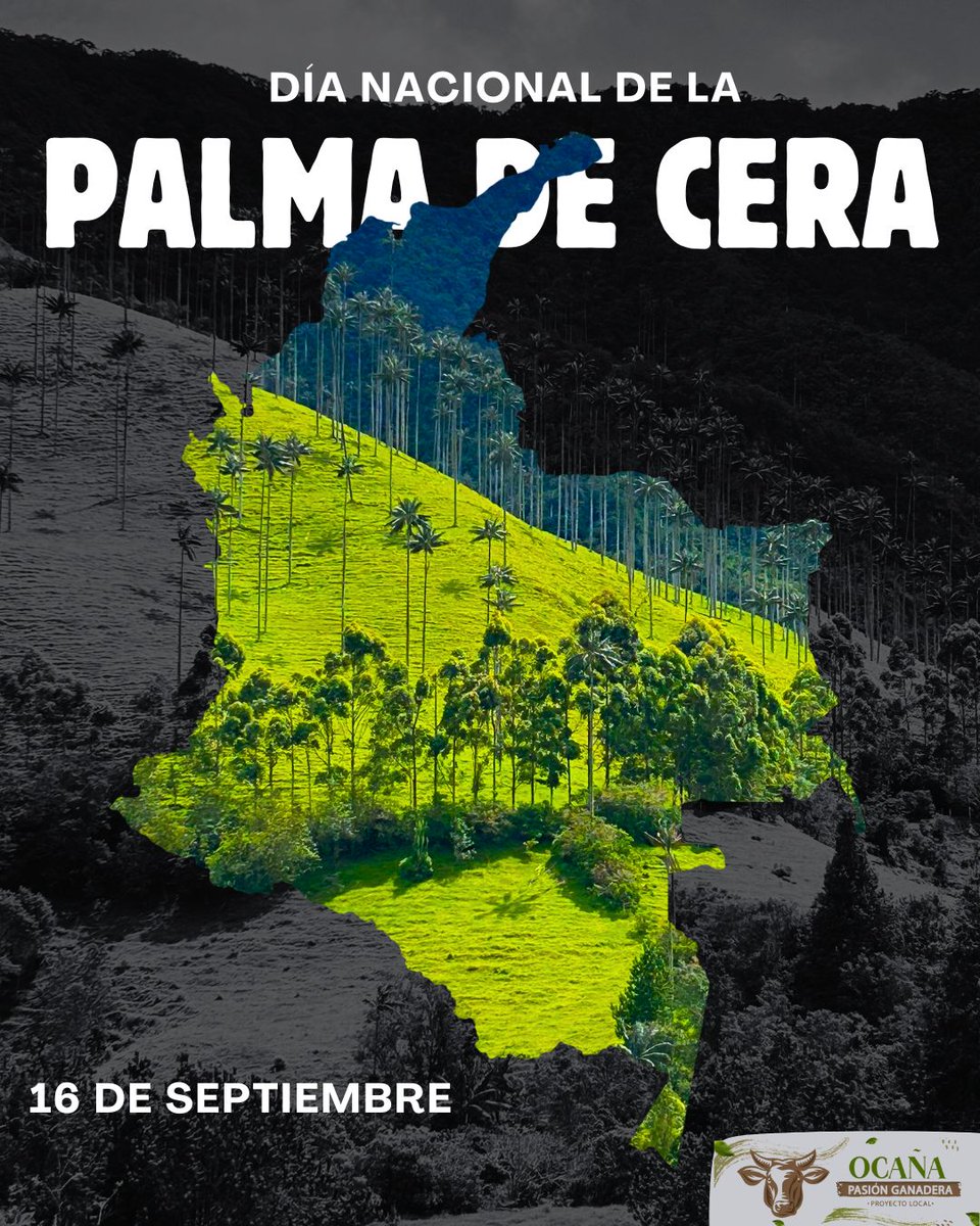 PL OCAÑA-PASION GANADERA tweet media