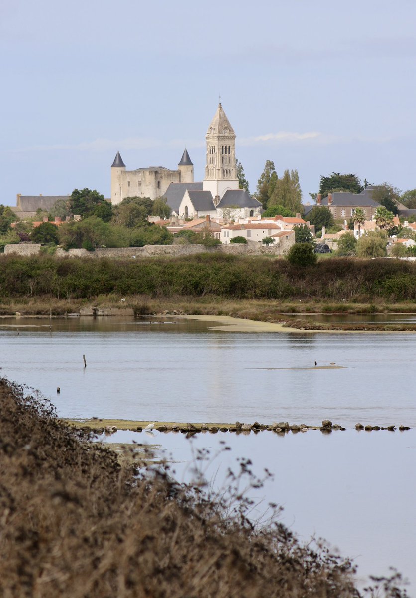 Martin Hey tweet media