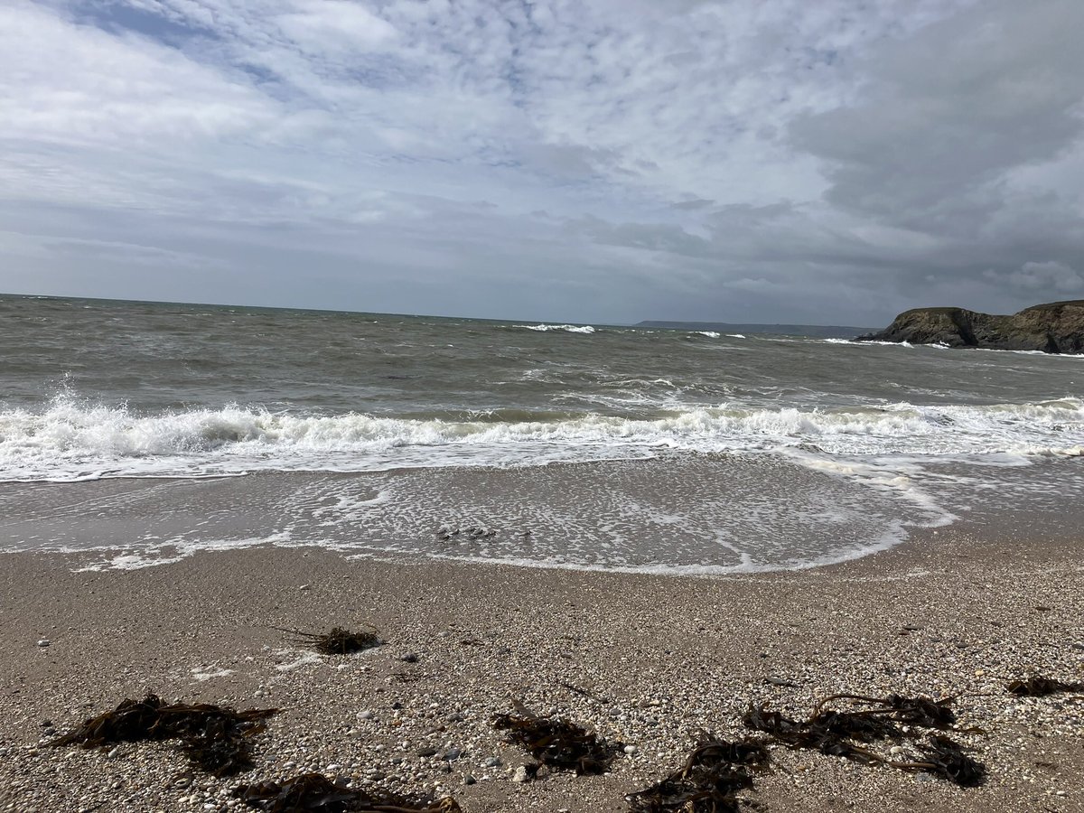 The only other folk on the beach with me this afternoon were these little chaps. 👀 🔍