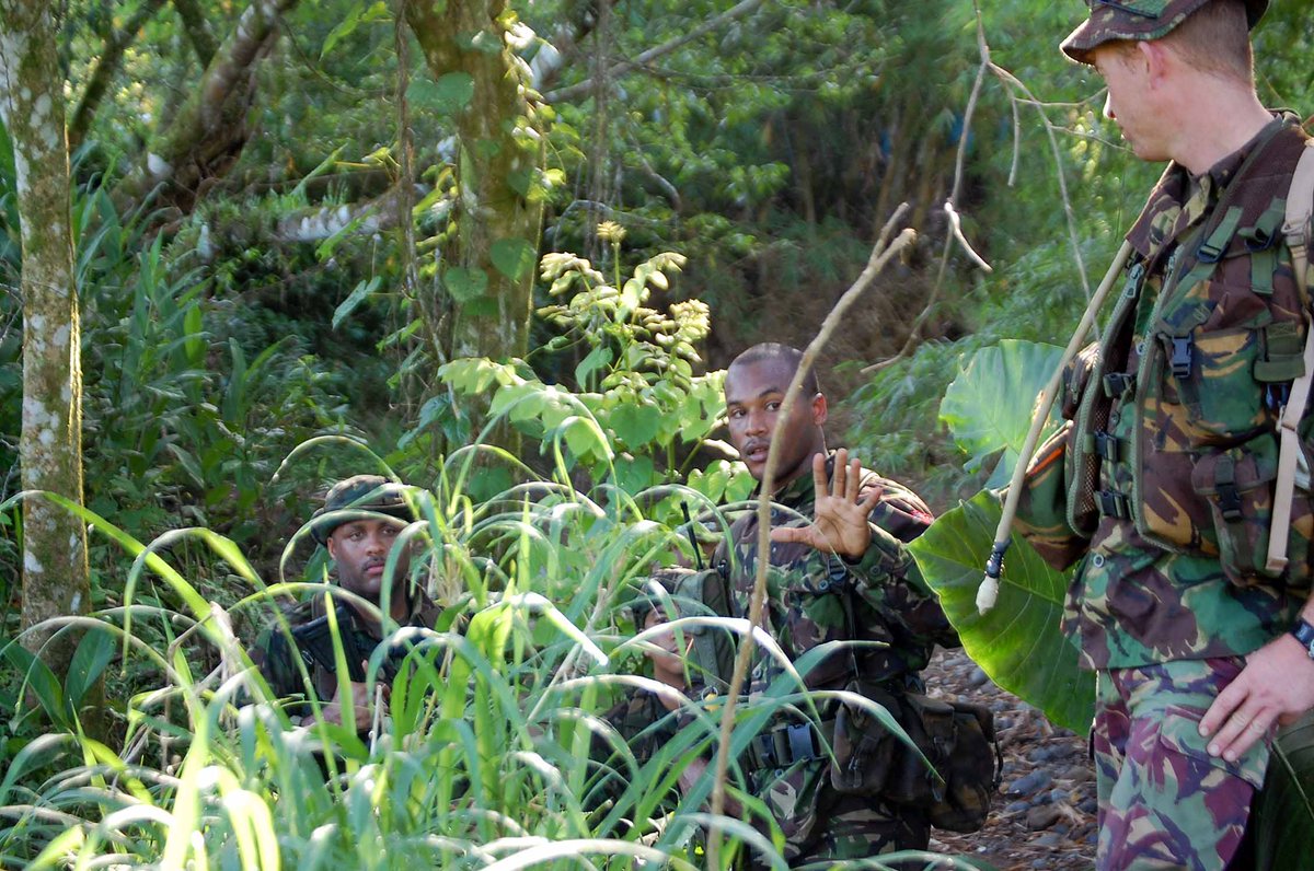 Royal Bermuda Regiment tweet media