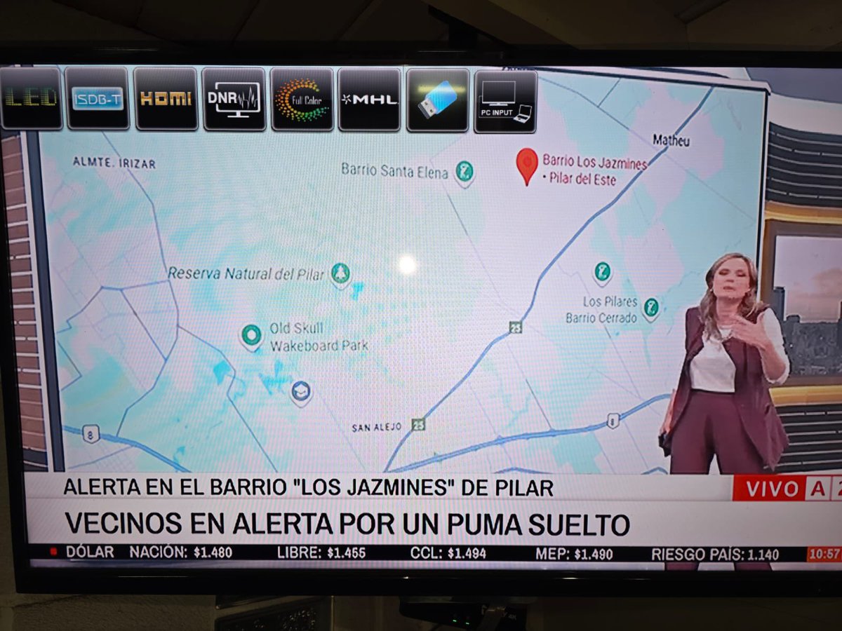 hay un puma suelto en pilar che