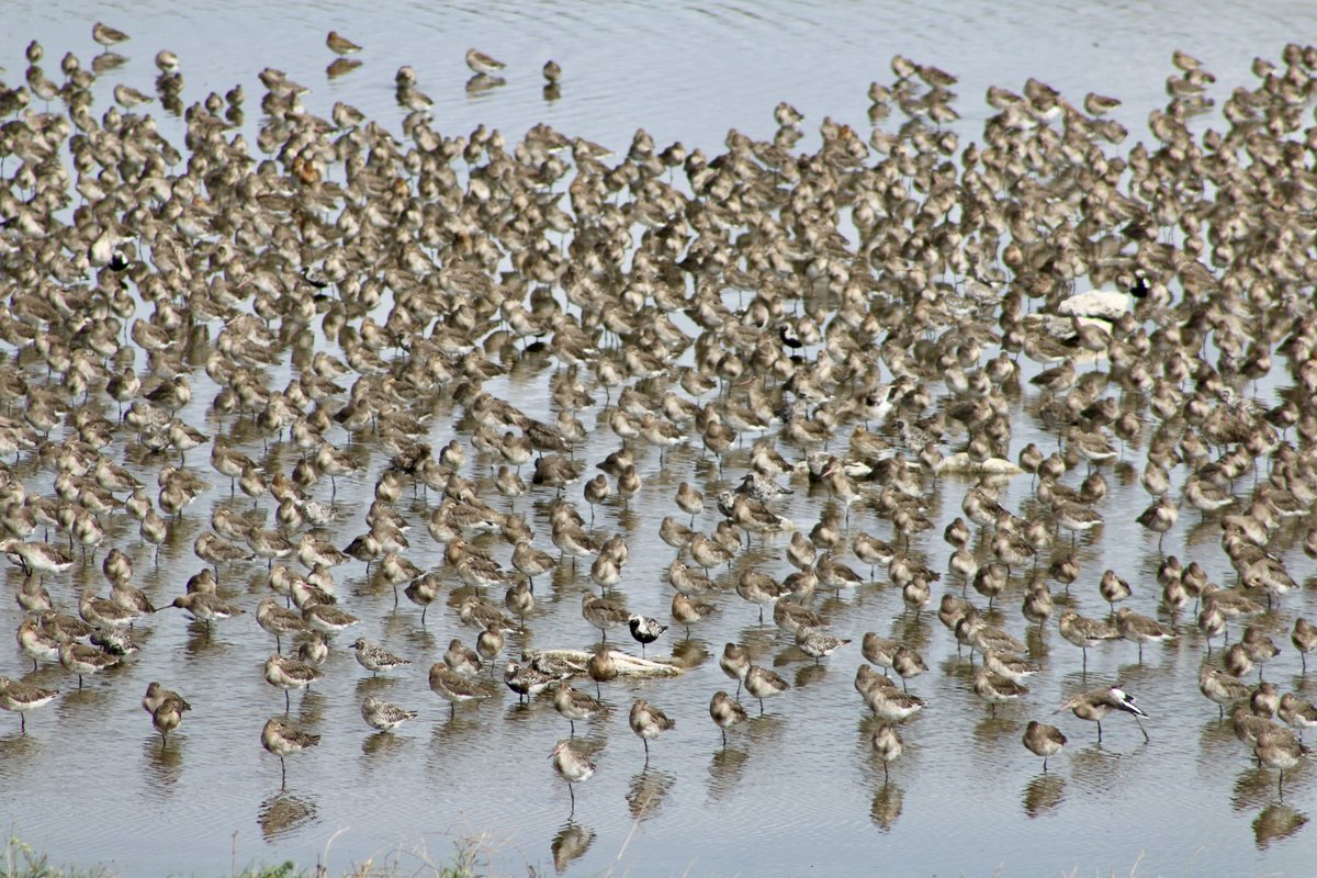 Martin Hey tweet media