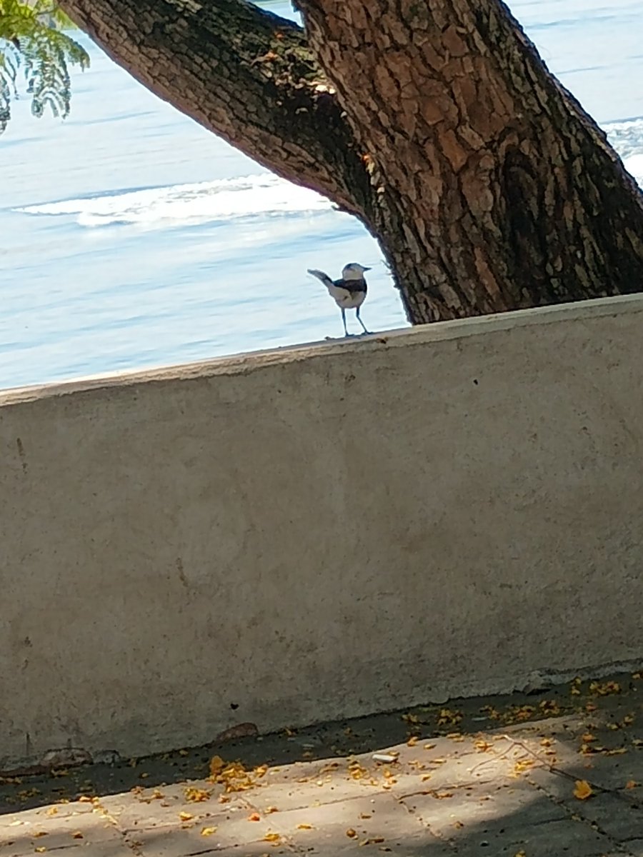Perto está o Senhor dos que têm o coração quebrantado, e salva os contritos de espírito.

(Salmos,34:18-)

    Bom dia, para você.