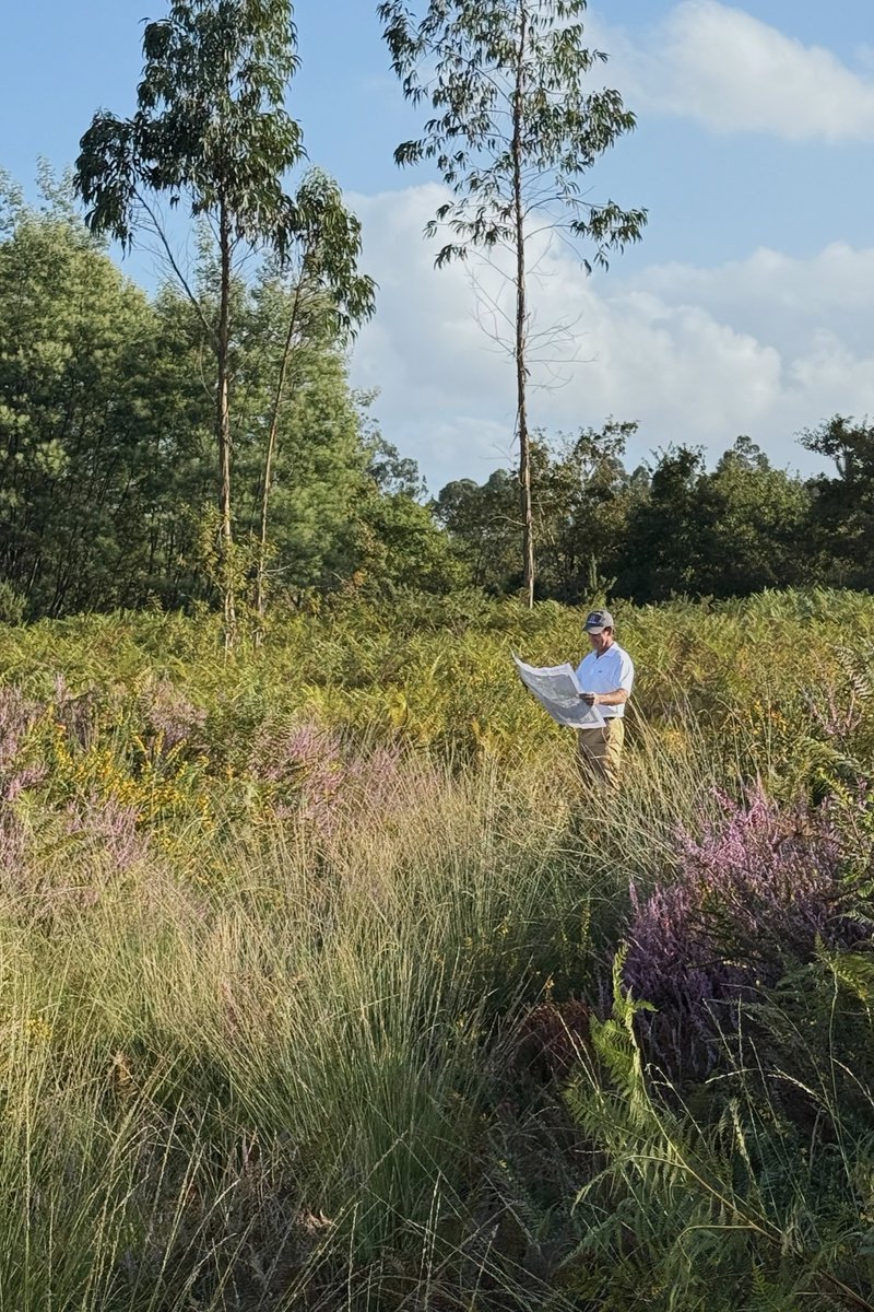 Clayton, DeVries & Pont tweet media