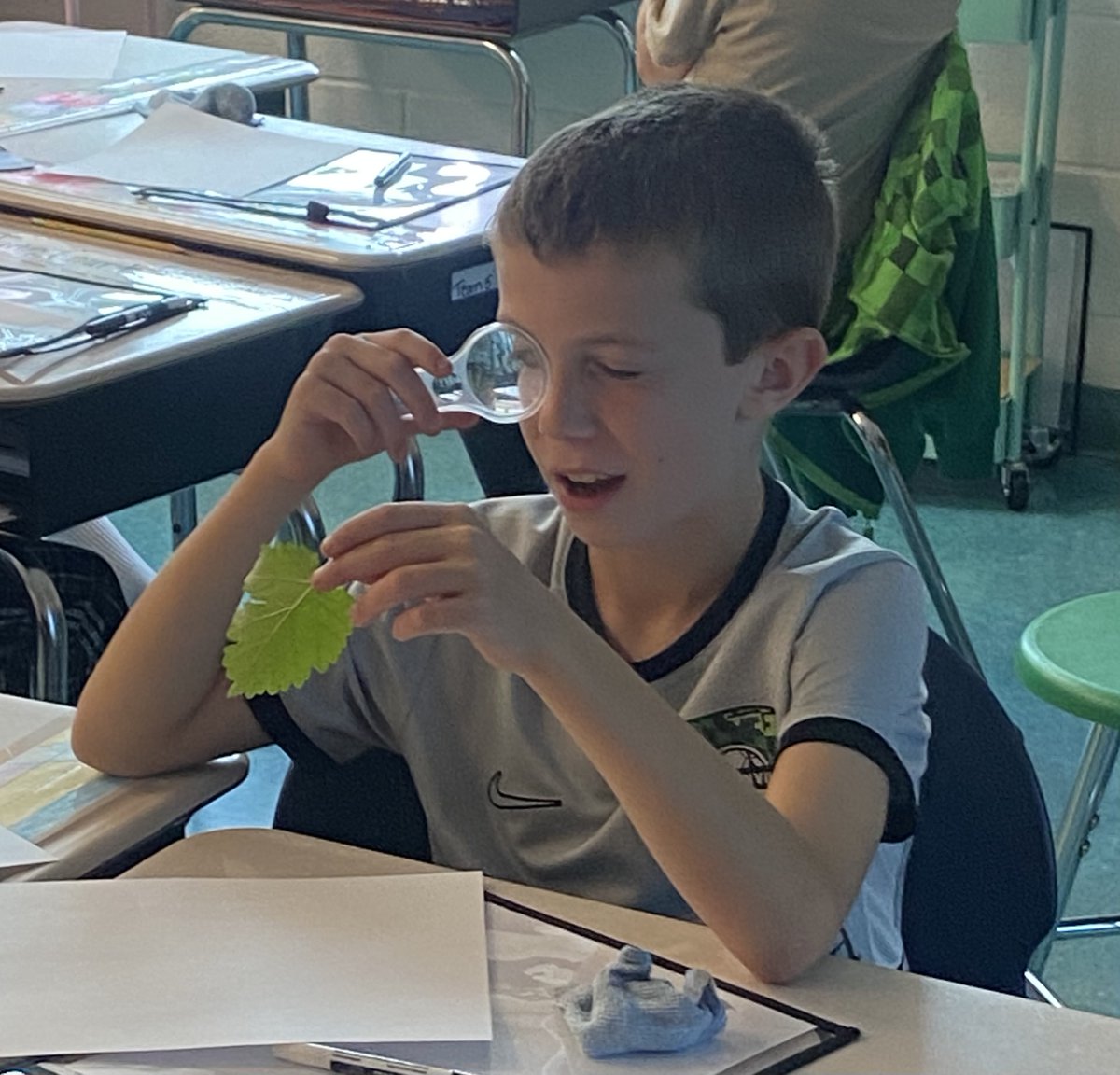 Using our tools to examine leaves and make scientific, labeled drawings.