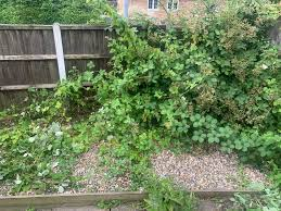 PeteWriting's tweet photo. #Writer #Poetry #WritingCommmunity #Scribblings
Today's clickety clicks😉
2. Brambling. Poetry.
In which your actual actual thorn sticks deep #Dagger #Dudgeon #Gouts
https://t.co/ARR9arF9Un https://t.co/XIyNZsYwWE