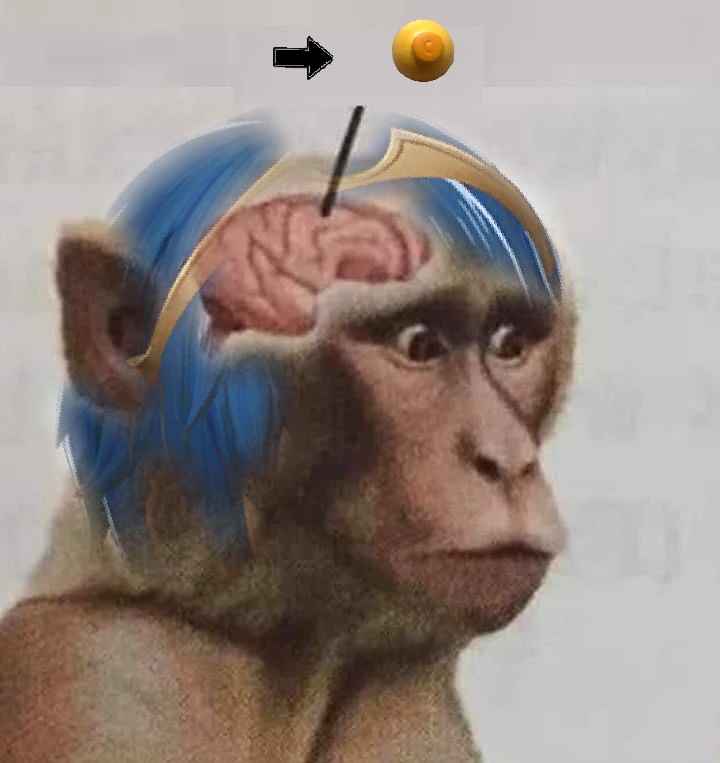 Majunior (@truemajunior) on Twitter photo 