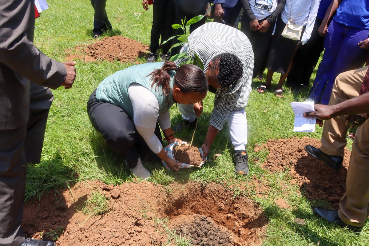 presidentsaward's tweet photo. A day of impact in Vihiga! 

Together with @KenGenKenya & @kafu_official, we planted 10,000 trees, empowered youth, and strengthened partnerships for a greener future.
Big love to everyone who showed up and showed out!
@MargaretKiogora

#WorldReady #GreeningKenya #PAKImpact #YouthForNature