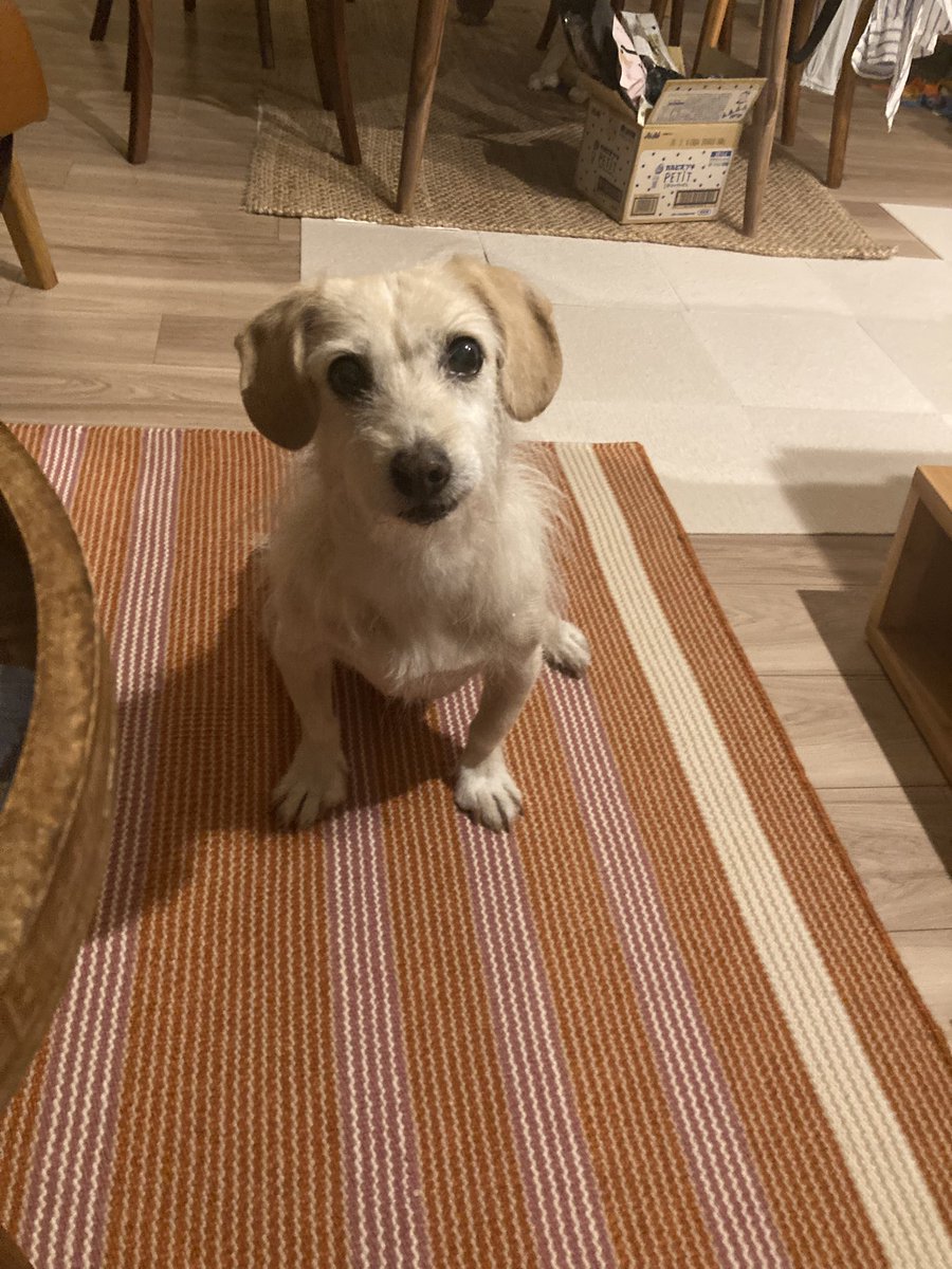 둘 성격차 나오는 사진들