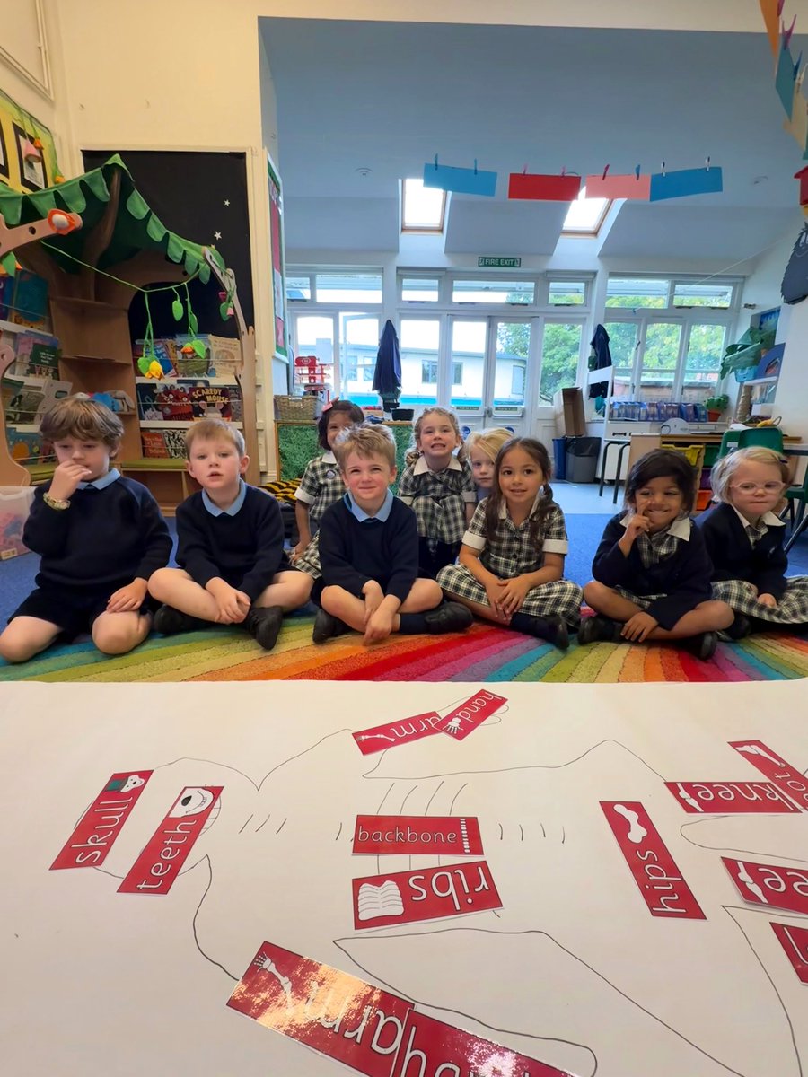 We have been exploring the amazing human body 💀🦴learning all about our skeletons, naming body parts, and discovering why they are so important for helping us move and stay strong! 🦴💫🦴💫 #UptonJourney #UptonEYFS <a href="/UptonSciences/">Upton House Science</a>