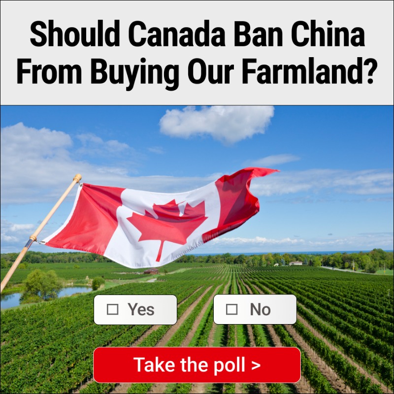 EpochTimesCan's tweet photo. Do You Think Canada Should Ban China From Buying Our Farmland? 
Take the poll → You voice matters!