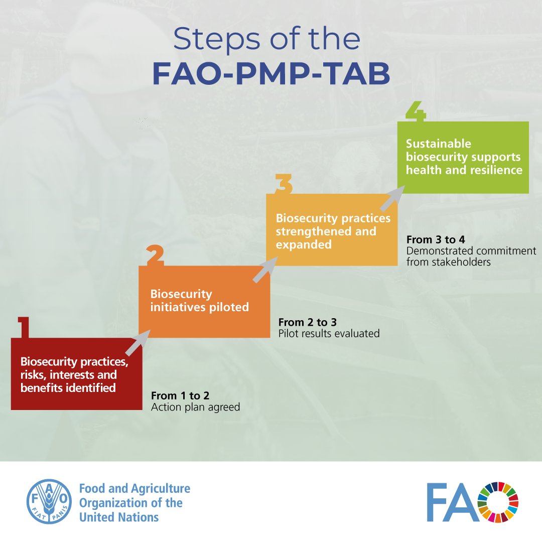 FAOLivestock's tweet image. Biosecurity matters.

New @FAO guide for countries to identify risks, engage stakeholders &amp;amp; pilot targeted #biosecurity interventions for healthier animals and people.

bit.ly/4oV9xYJ

#PMPTAB