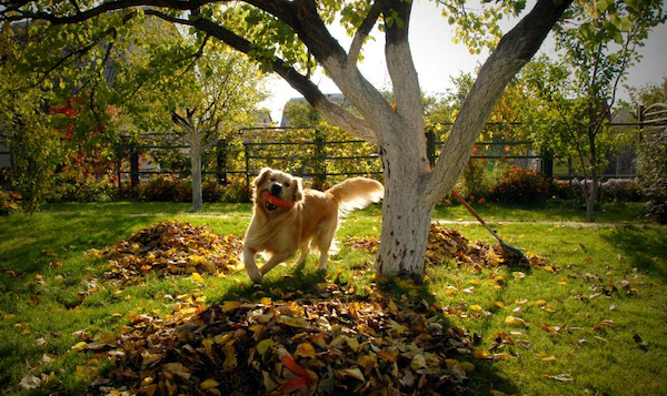 Marion Friedl #ForUkraine #Boostered #PostVac tweet media