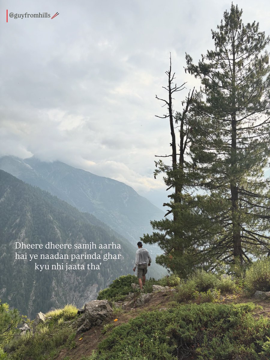 everything is a sign if you’re crazy enough