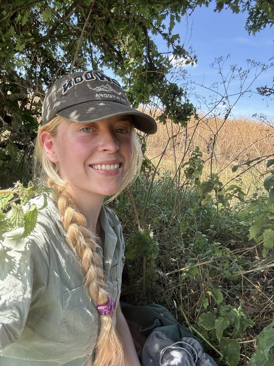 juliet_turner6's tweet photo. Curious how we're working with farmers to boost biodiversity in the countryside? 🌾🐝

I just wrote a blog for @GWCT about my research on pollinators &amp; wild plants in farmland this summer 

Read it here 🌱👇

https://t.co/2sawHhQqQm @GWCTScience https://t.co/rfHg8WF1Zl