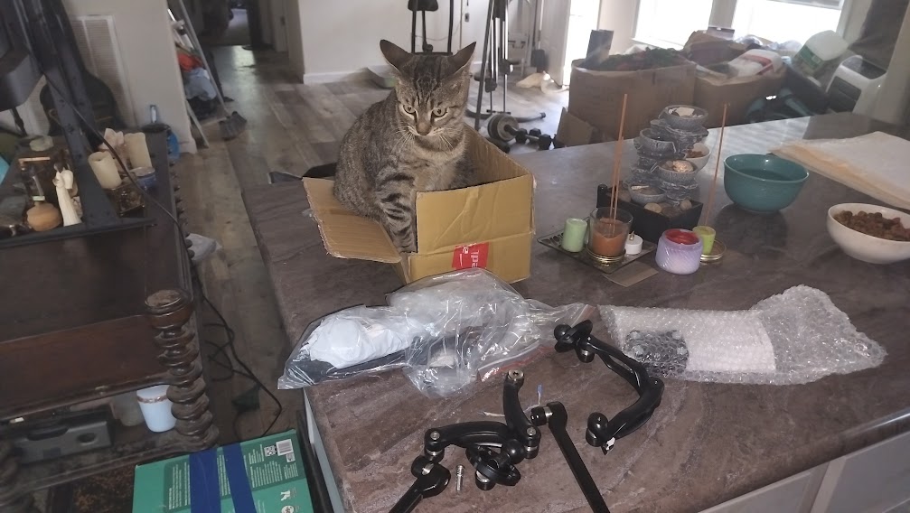 ThatCatDude's tweet photo. *******************Lost Kitty Alert******************** 
Click this Link for more info on Nextdoor: https://t.co/ZCo18IHejS 
Please Re-tweet and share across social media to get the word out. Thank you. ❤️
#LostKitty #LostCat #CatsOnTwitter #Catlover #Anipals 🐈🐈‍⬛ 🐱 =^..^= https://t.co/ZImS5RzSgE