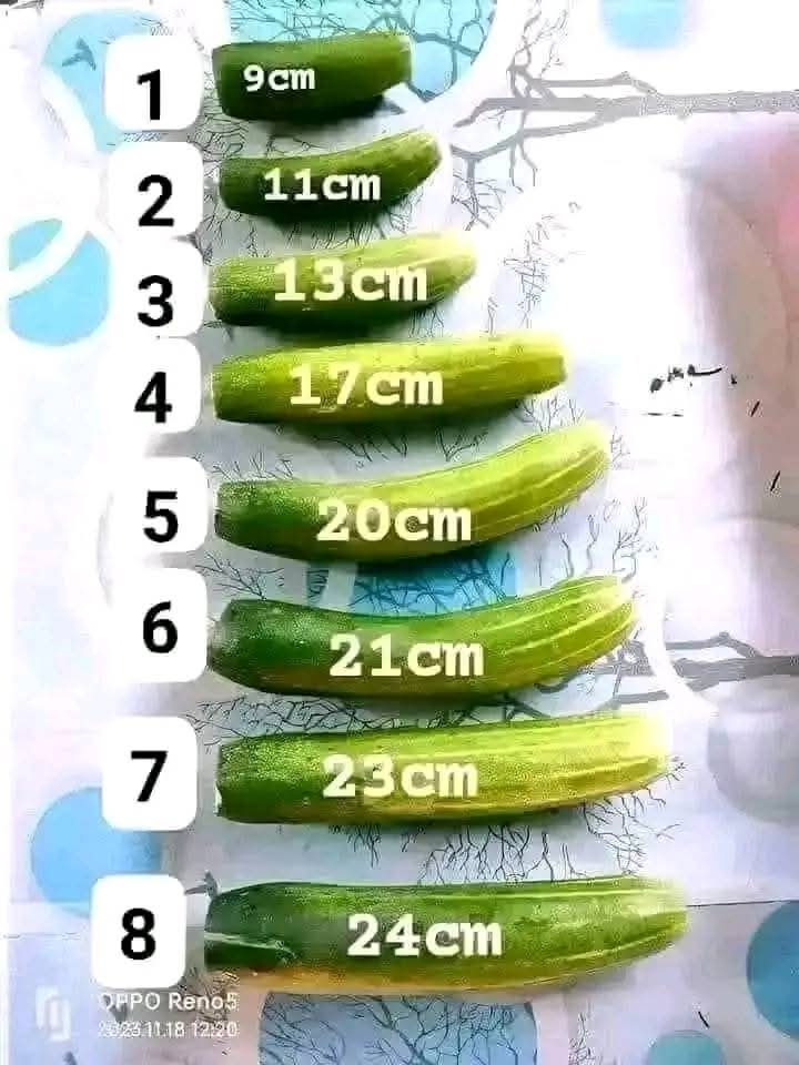 انا خرمي ياخد رقم ٢٥ ان وجد